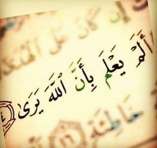 حوارات القيامة بالقرآن (4).. بين أهل النار وأعضائهم الجسدية